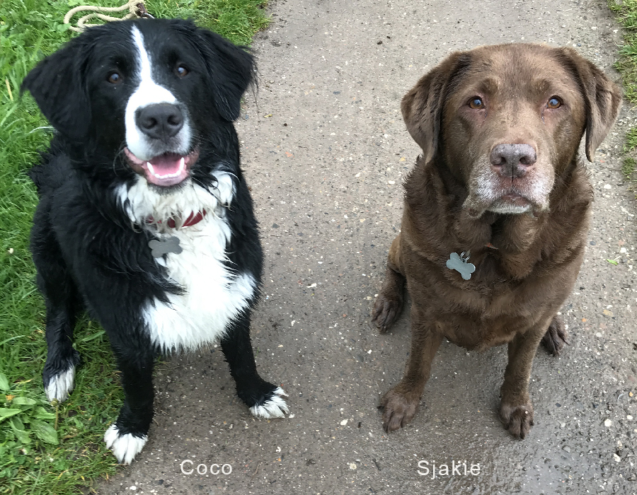 Coco en Sjakie2